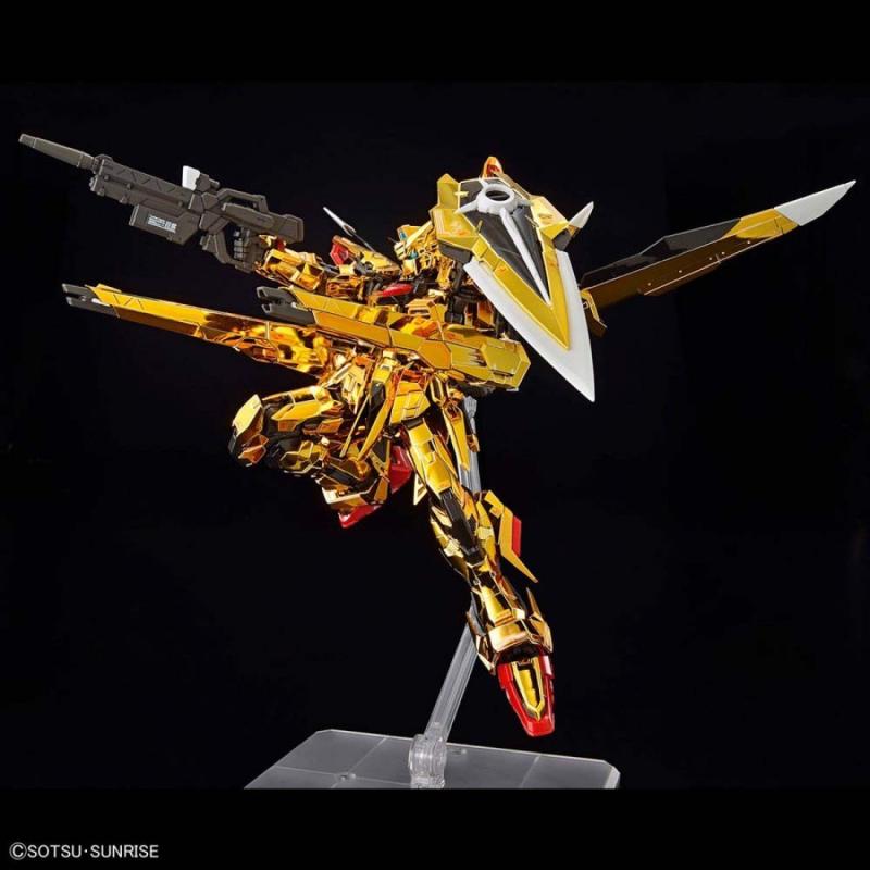 RG 1/144 กันดั้ม โซนิค เอ็กซ์เพรส ดีสทินี่ โมเดลชุดประกอบ