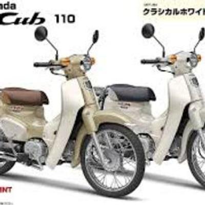 Honda Super Cub 110 classic white model