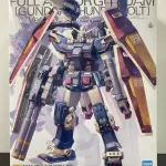 MG 1/100 全裝甲高達 雷霆宙域版