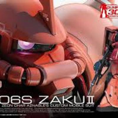 RG 1/144 Marasai Special Zaku II Gundam Model