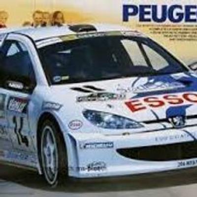 Tamiya 1/24 Scale 206 WRC Model Kit